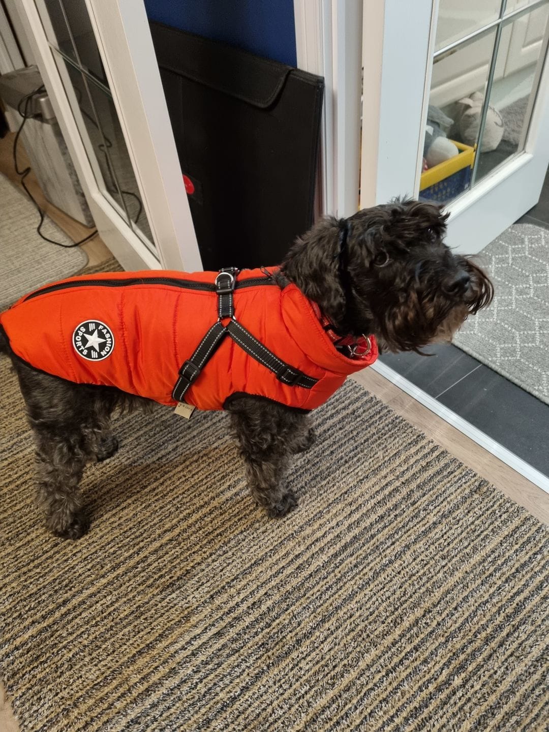 Customer photo review of Manteau 3-en-1 Vira™