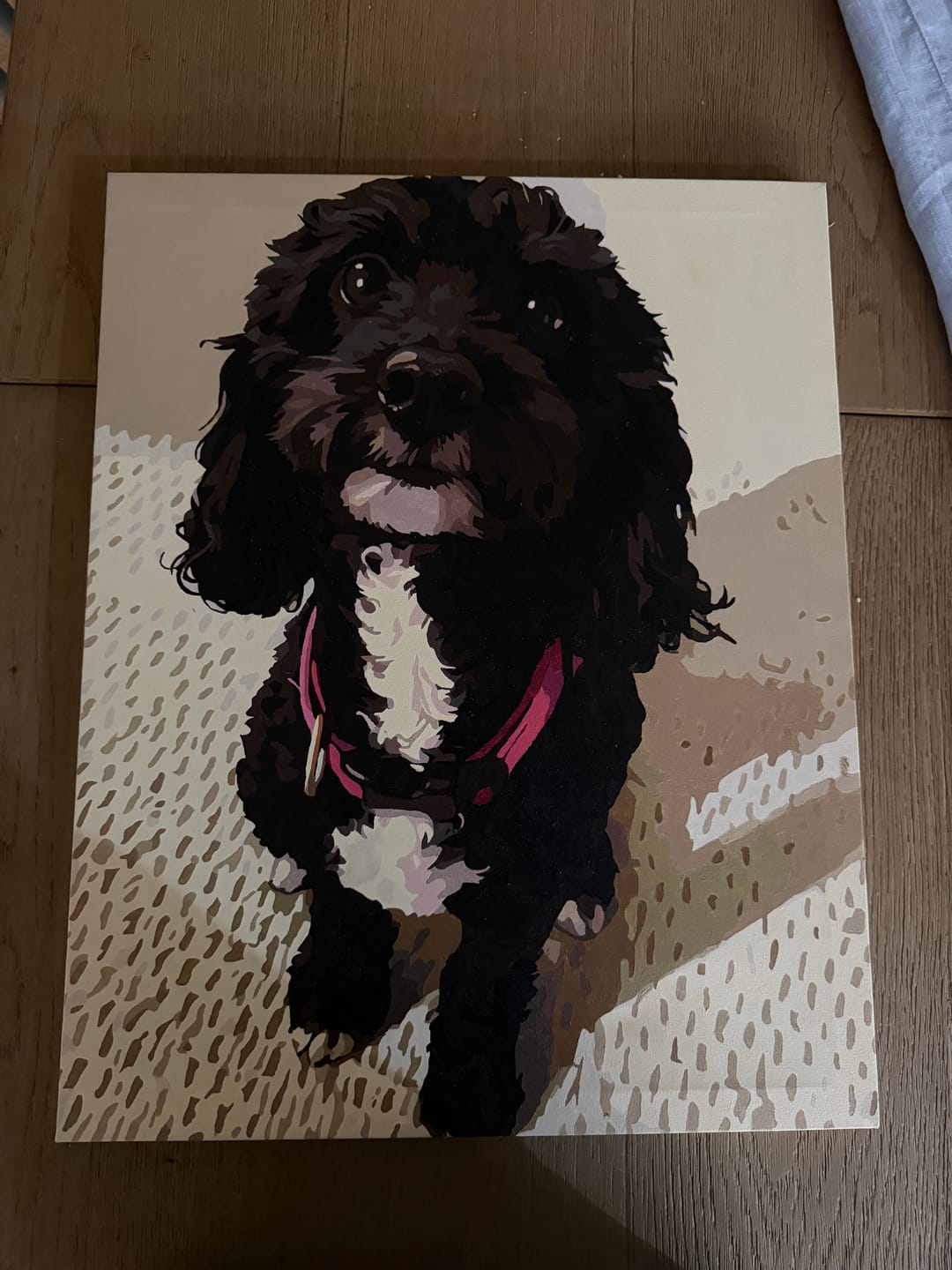 Customer photo review of Custom Paint By Numbers Kit
