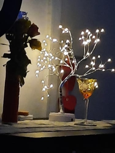 Customer photo review of Lumi Trees® - The Peace Tree with 108 LED`s