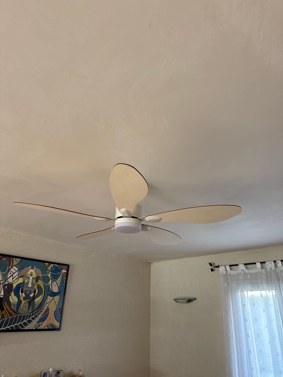 Customer photo review of Libellule | Ventilateur de plafond