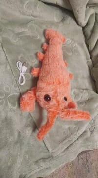 Customer photo review of Peluche langosta con movimiento para mascotas