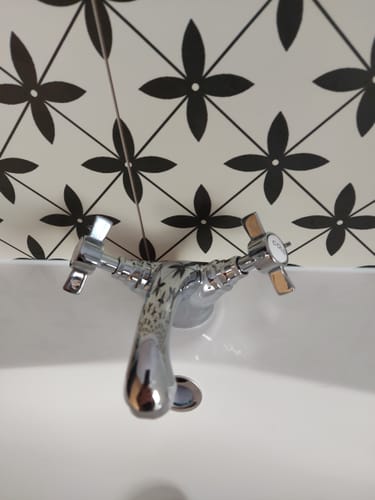 Customer photo review of Trisen Wisley Mono Basin Mixer (No Waste)
