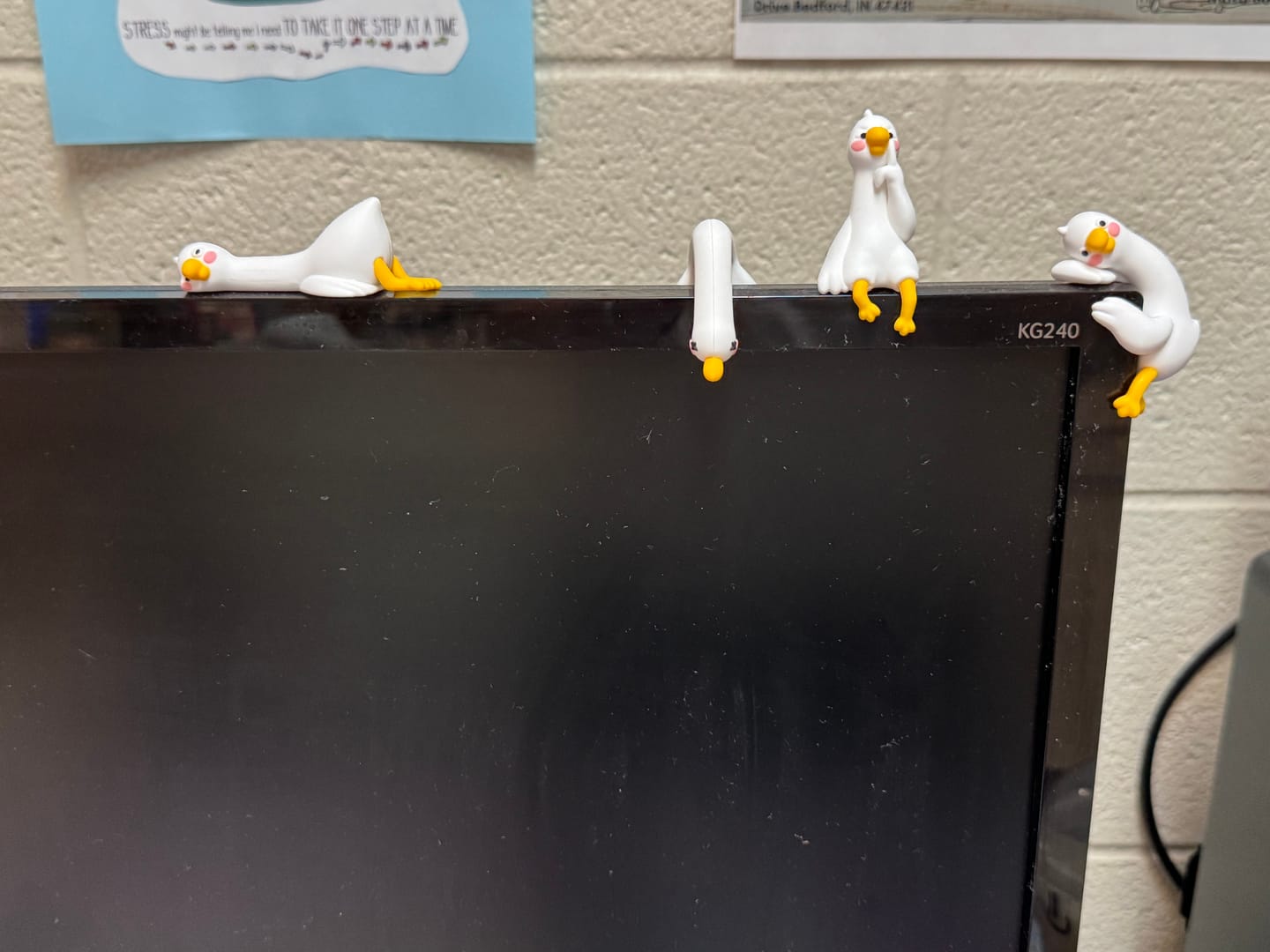 Customer photo review of Lazy Duck Desk Figurines
