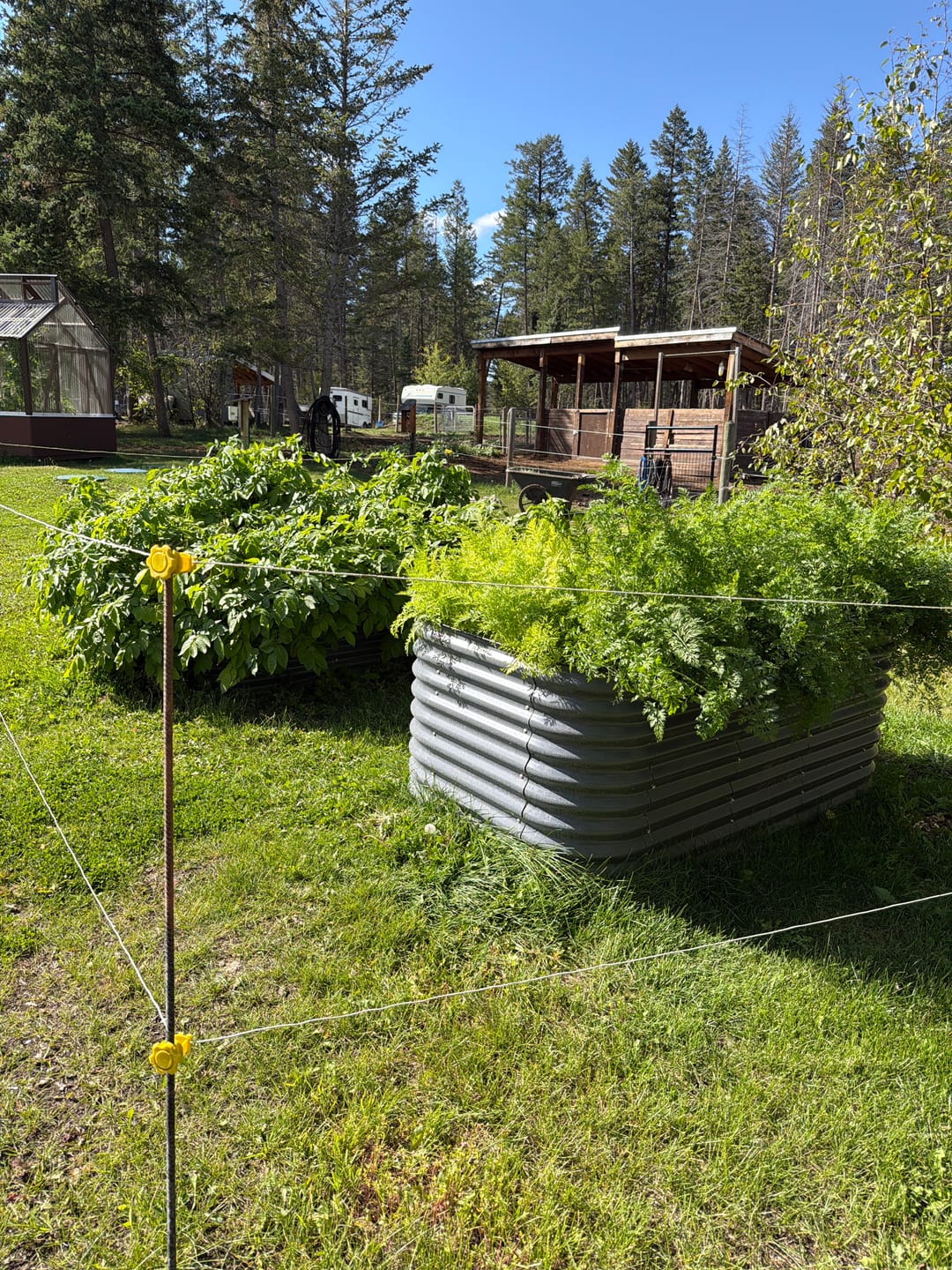 Customer photo review of 32" Tall Modular 9 in 1