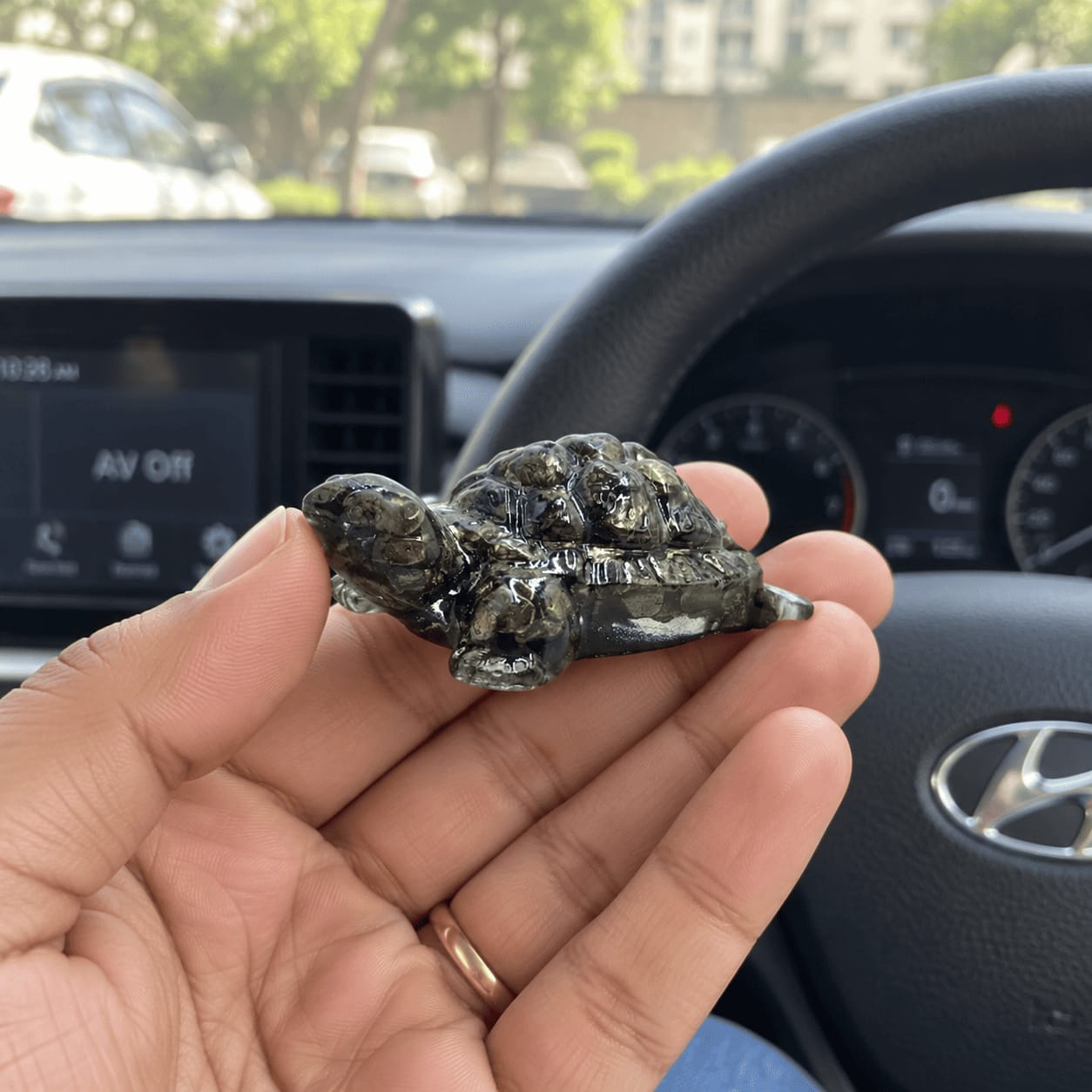 Customer photo review of Pyrite Tortoise Statue