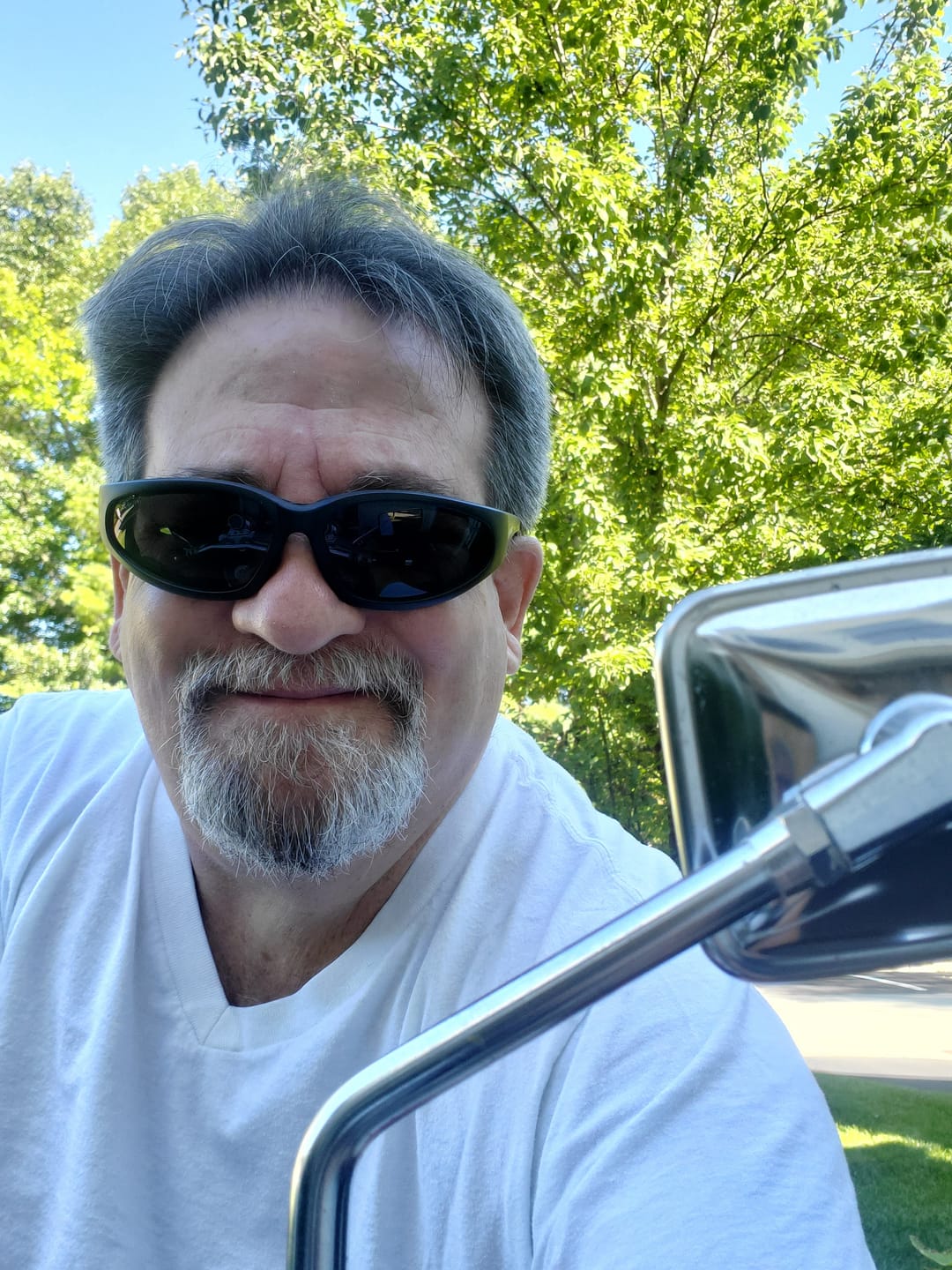 Customer photo review of Hercules® Rider Readers