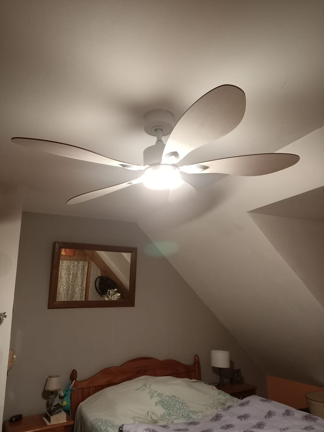 Customer photo review of Libellule | Ventilateur de plafond