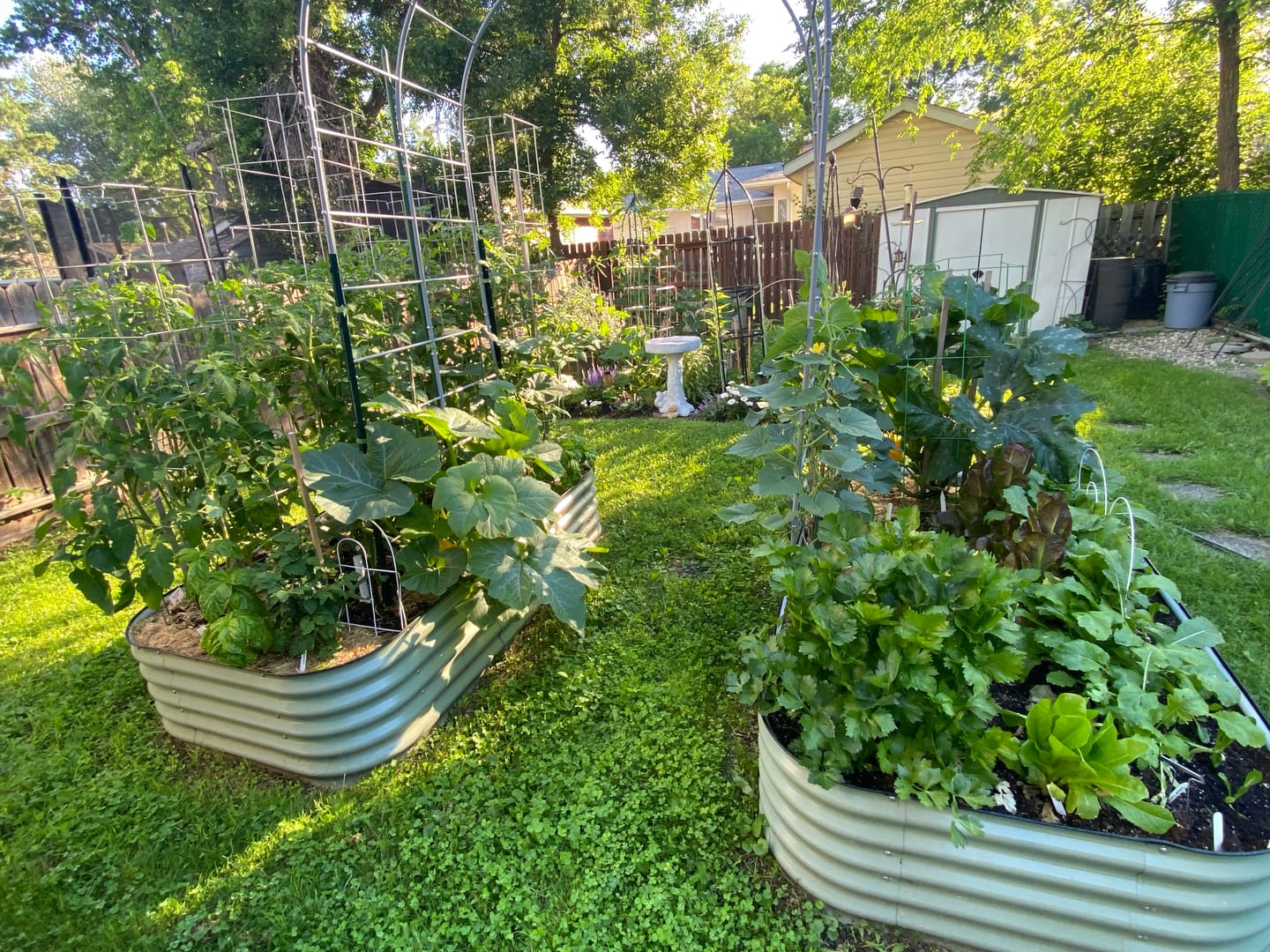 Customer photo review of Arch Garden Trellis
