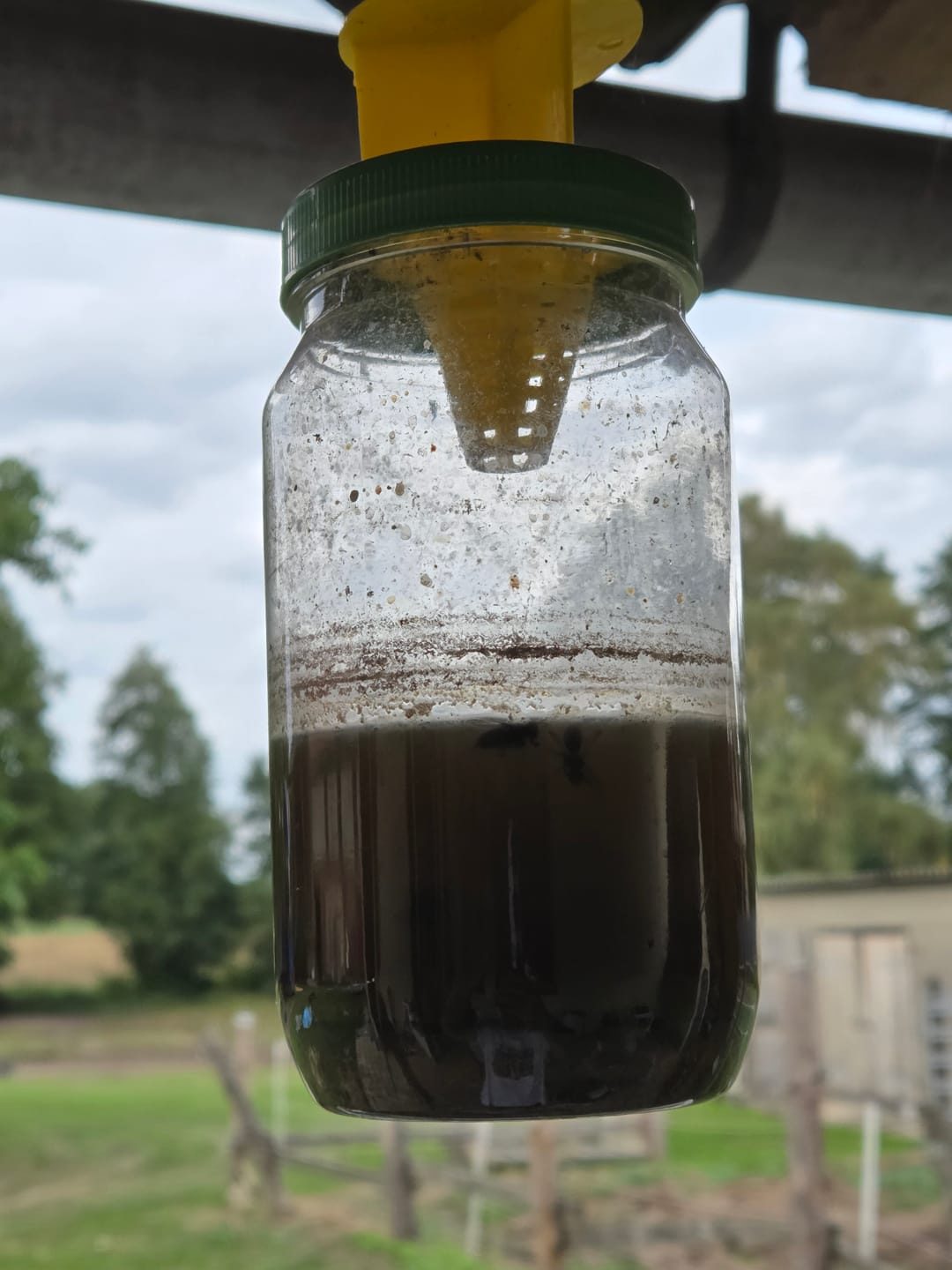 Customer photo review of HorseSafe LiquidTrap – Schluss mit Fliegenstress auf deinem Hof