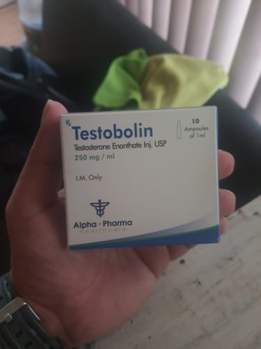 Customer's hand holding a white and blue box of Testobolin Testosterone Enanthate, 10 ampoules pack.
