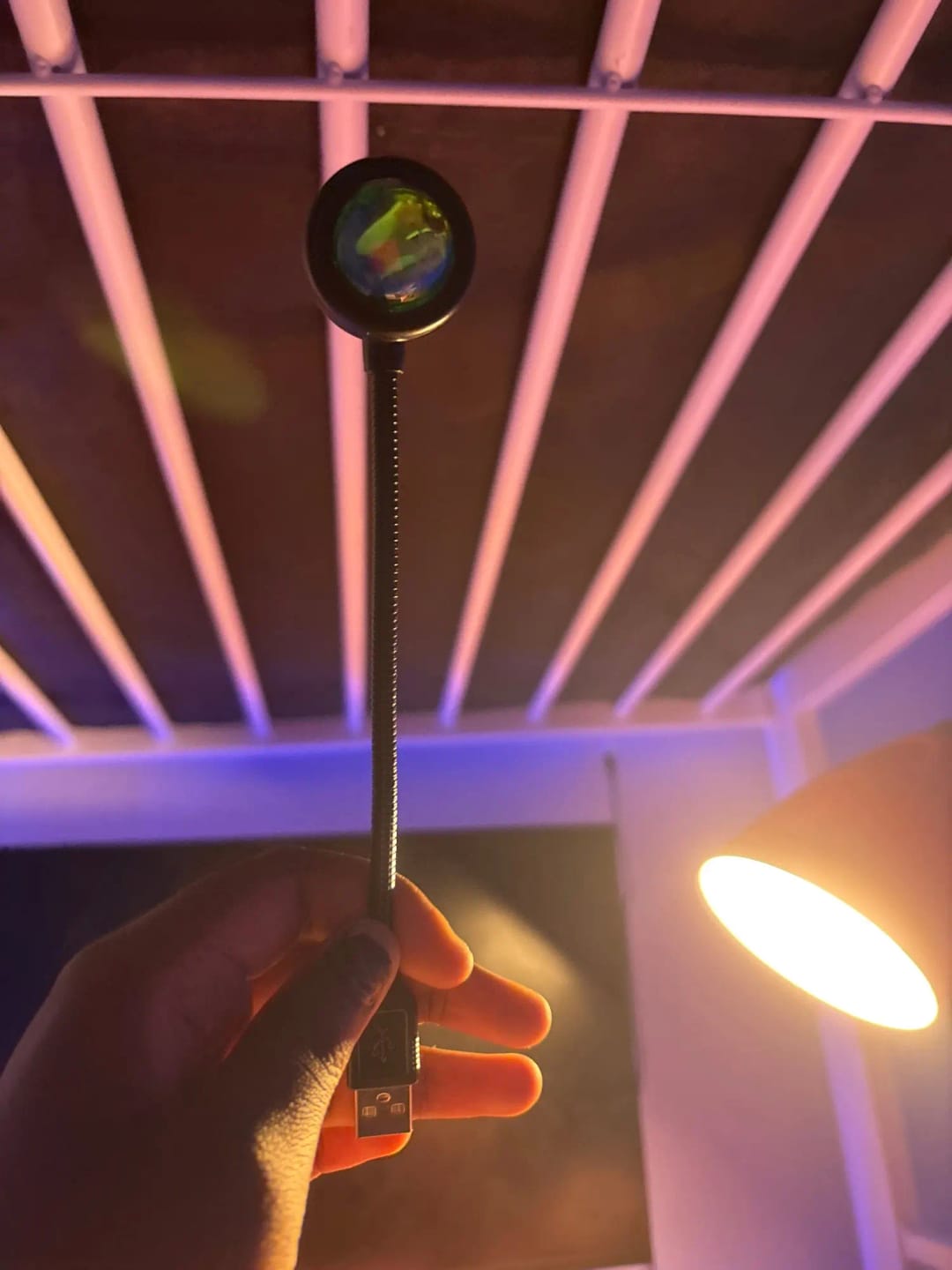 Customer photo review of Light Projector RGB