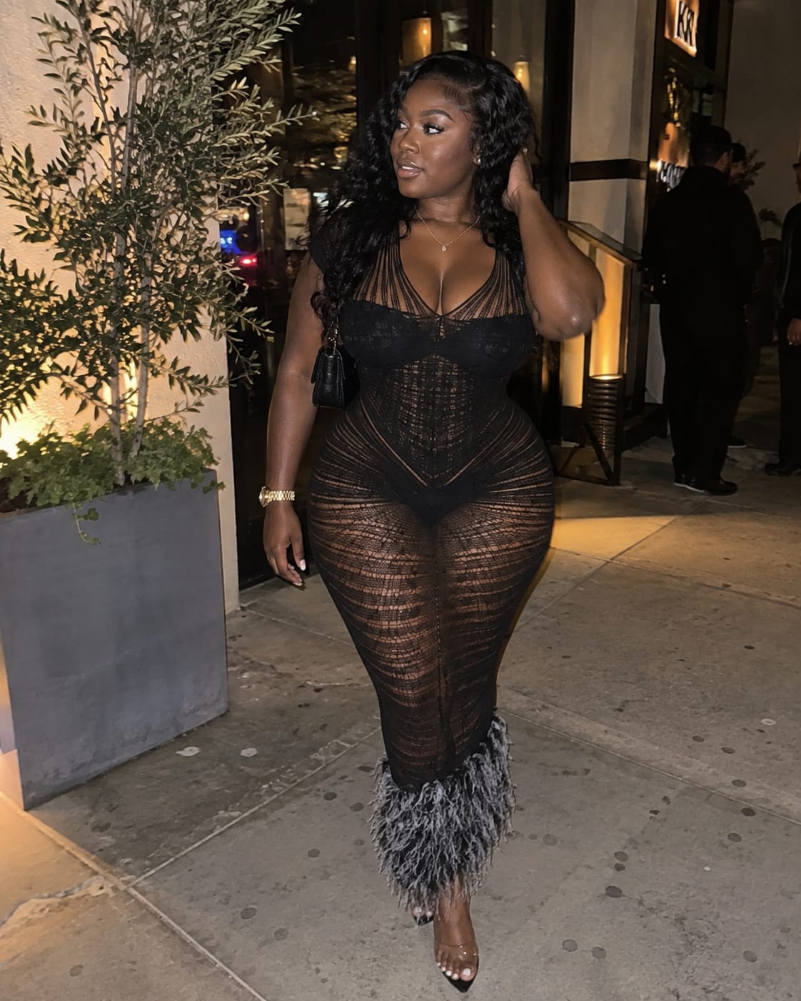 Customer photo review of Black Swan Feather Gown