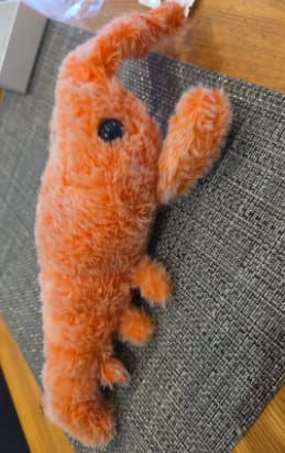 Customer photo review of Peluche langosta con movimiento para mascotas