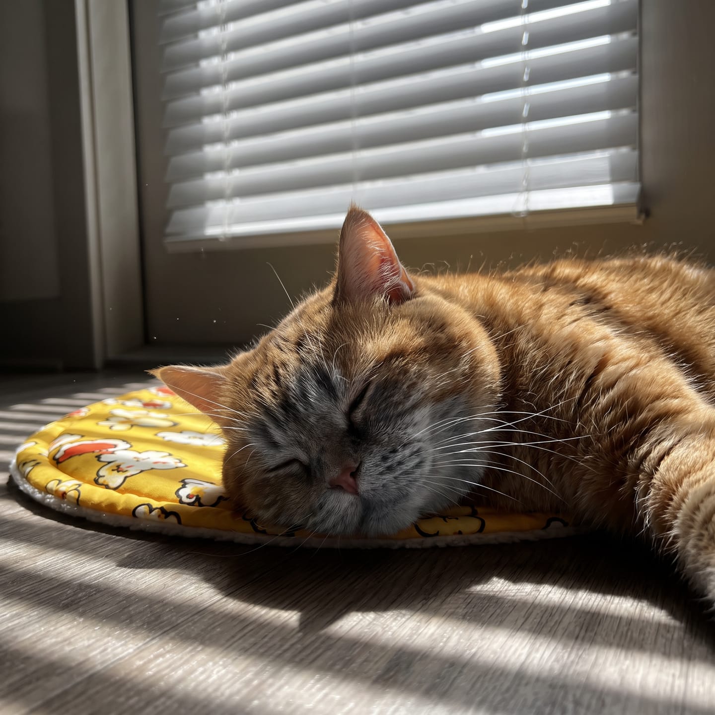 Customer photo review of Cama PopCorn para tu gato