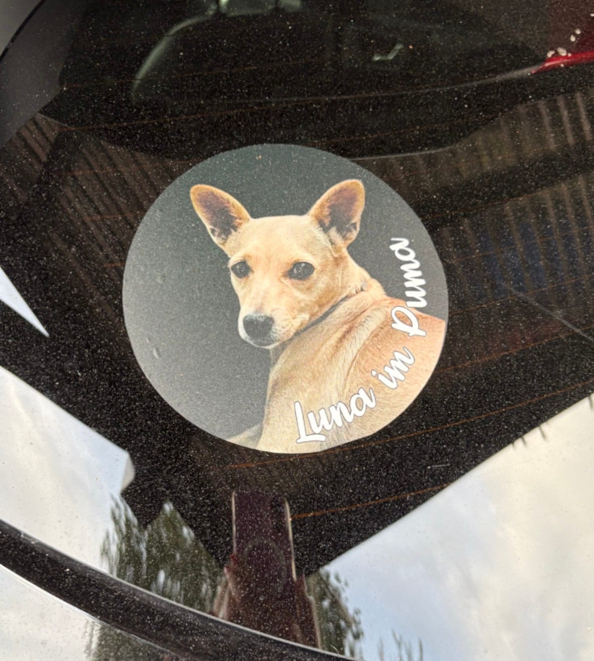 Customer photo review of Personalisierter Autoaufkleber - Dein Foto