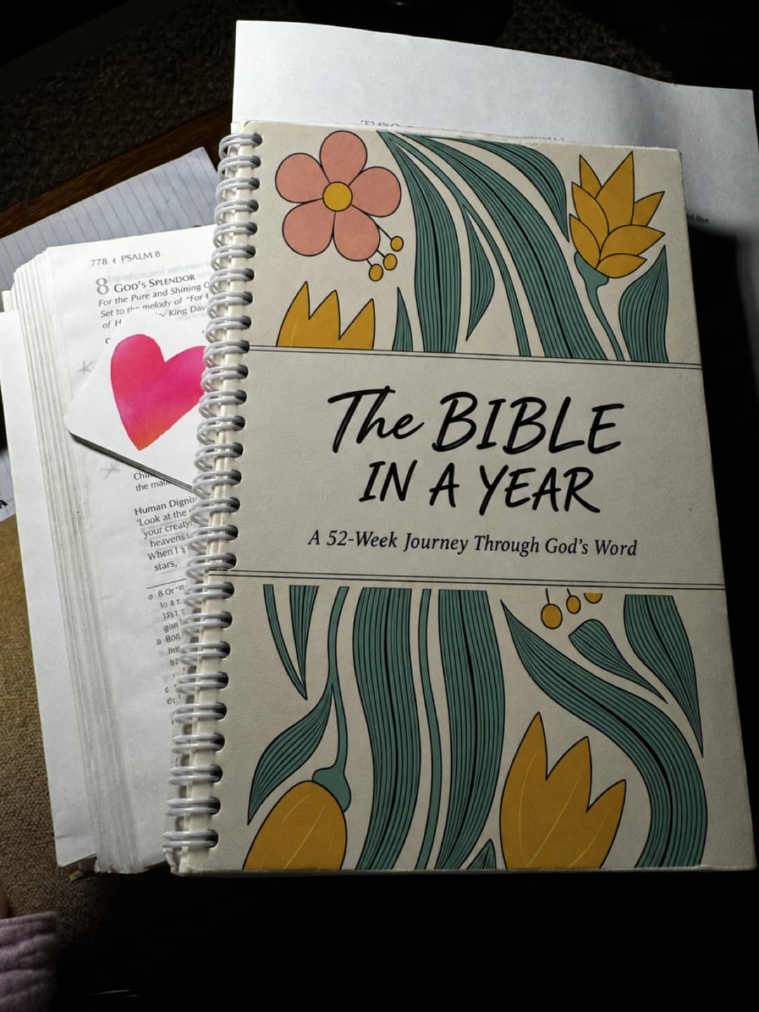 Customer photo review of The Daily Walk with Him: Bible in a Year
