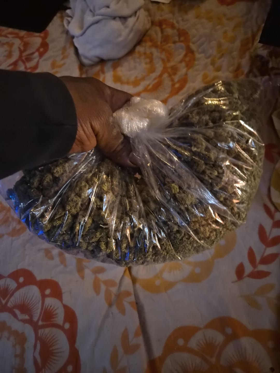 Customer photo review of Pineapple Express Minis - Bulk Minis - Sativa