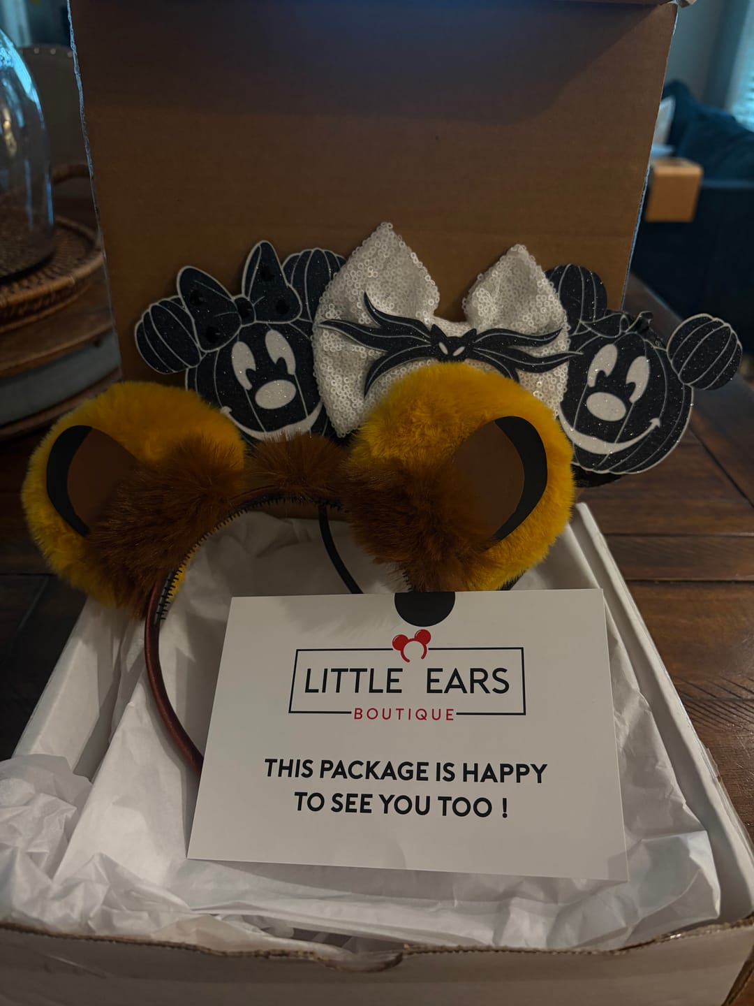 Customer photo review of Bones Pumpkin Halloween Ears
