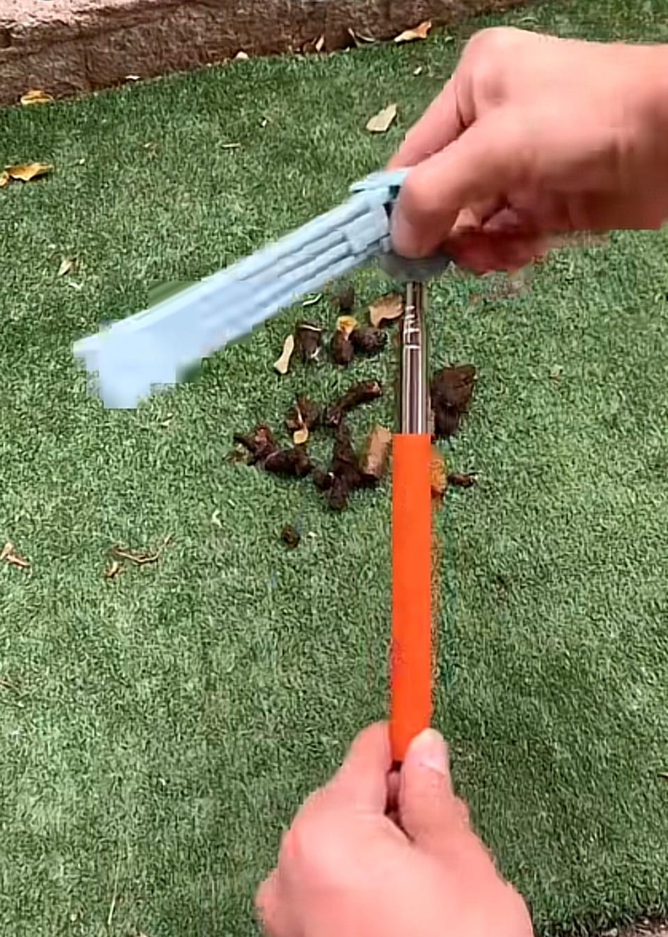 Customer photo review of Recolector Toilet portatil para perros