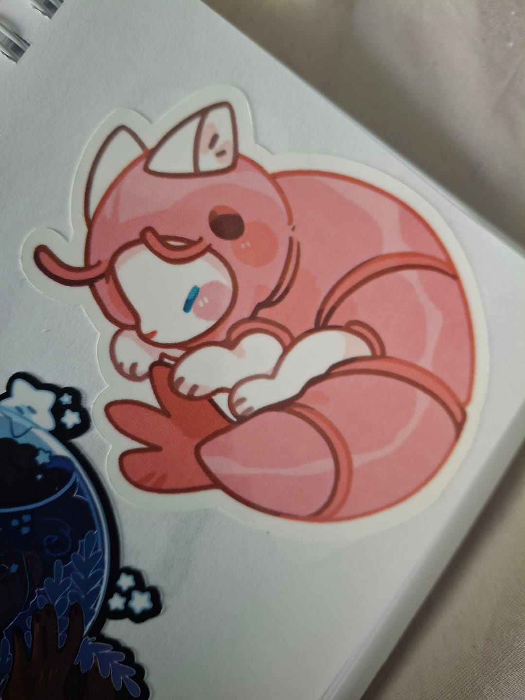 Customer photo review of Cats in Sea Creature Costumes Stickers