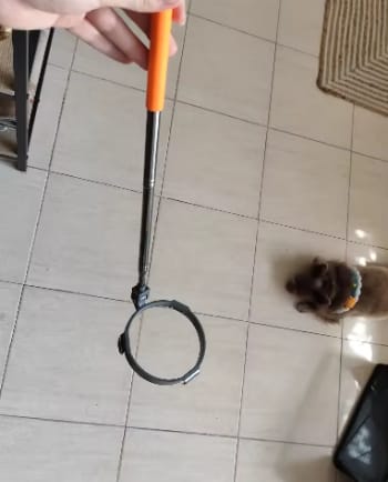 Customer photo review of Recolector Toilet portatil para perros