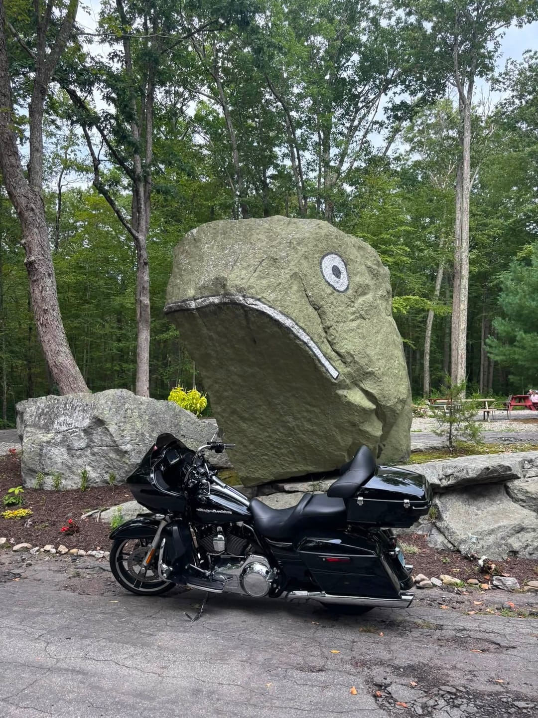Customer photo review of C.C. RIDER King Passenger Backrest King Touring Trunk Backrest For Touring Road Glide Electra Glide Street Glide Road King, 2014-2025