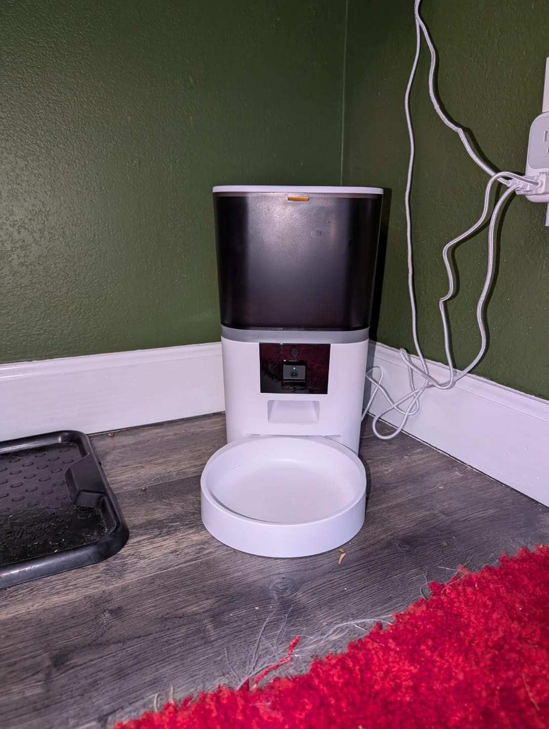 Customer photo review of PawCam - Automatic Pet Feeder with HD Camera