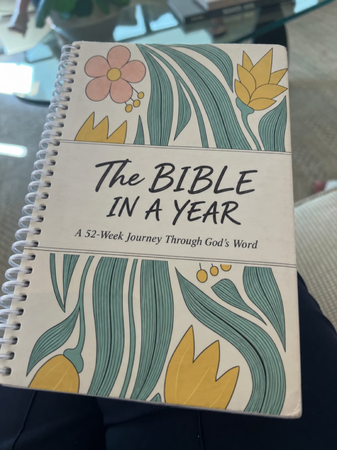 Customer photo review of The Daily Walk with Him: Bible in a Year