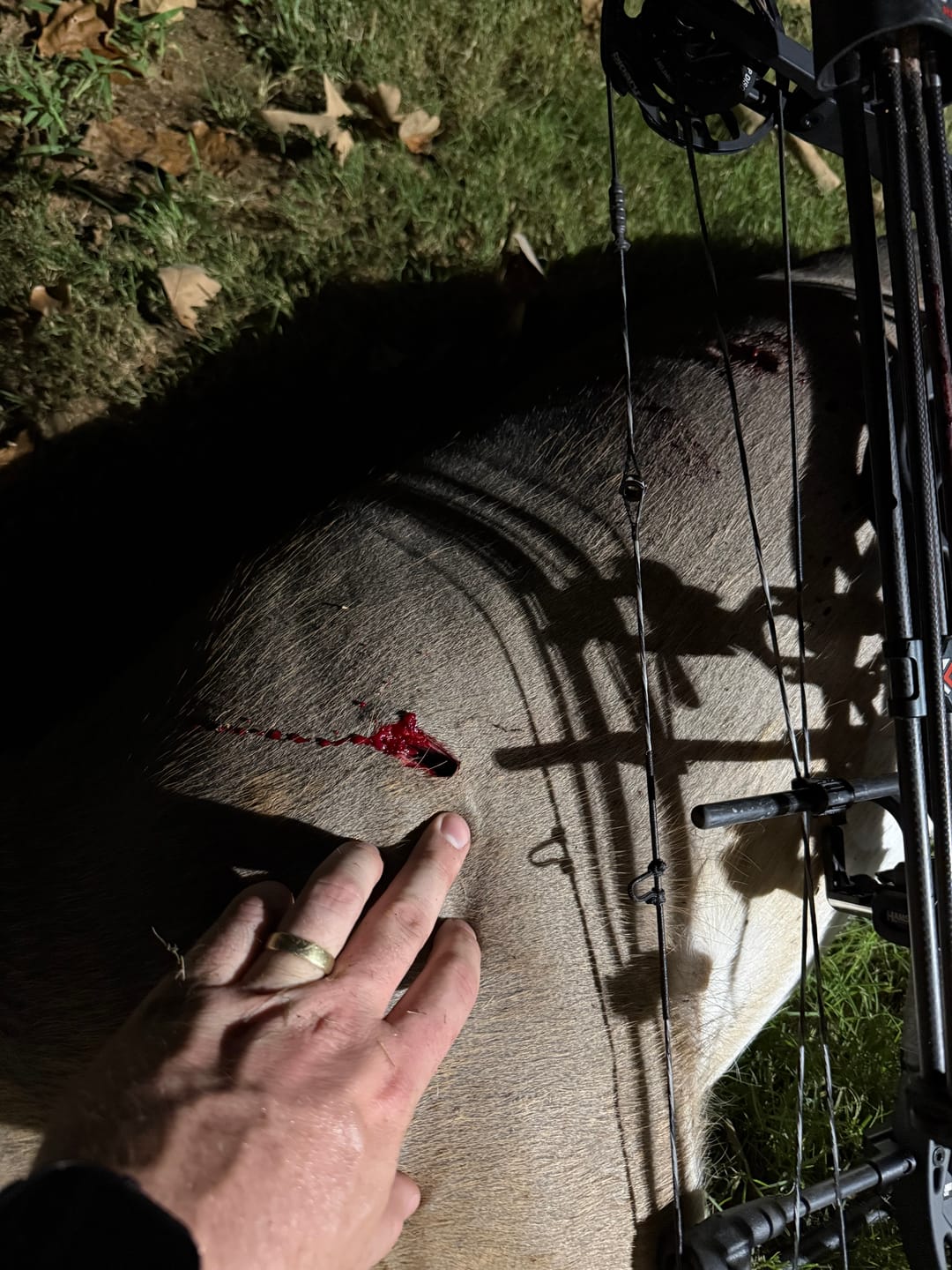 Customer photo review of Cut on Contact Titanium Broadheads (3 Pack)