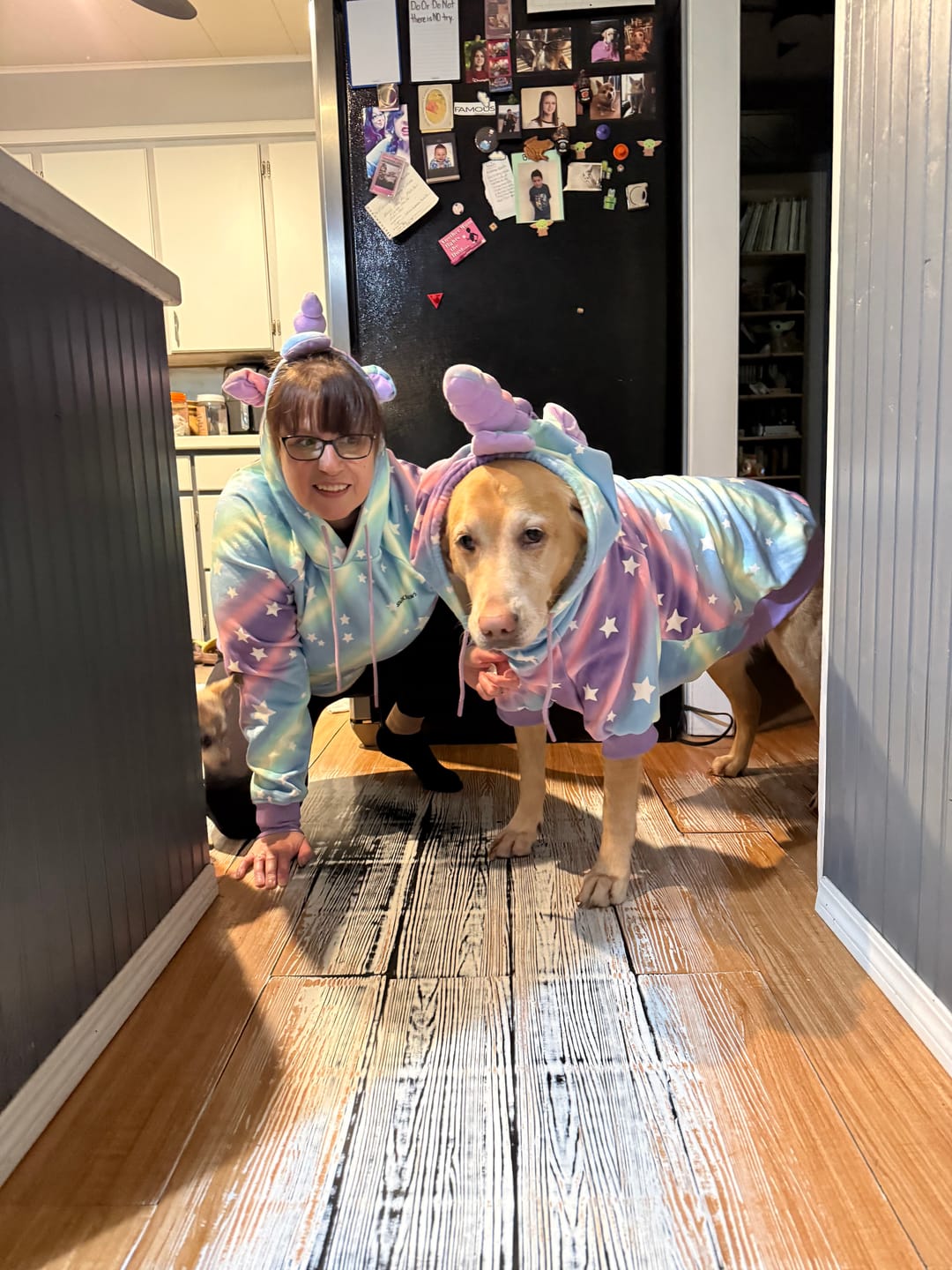 Customer photo review of Halloween Dog Hoodies (Limited Edition)