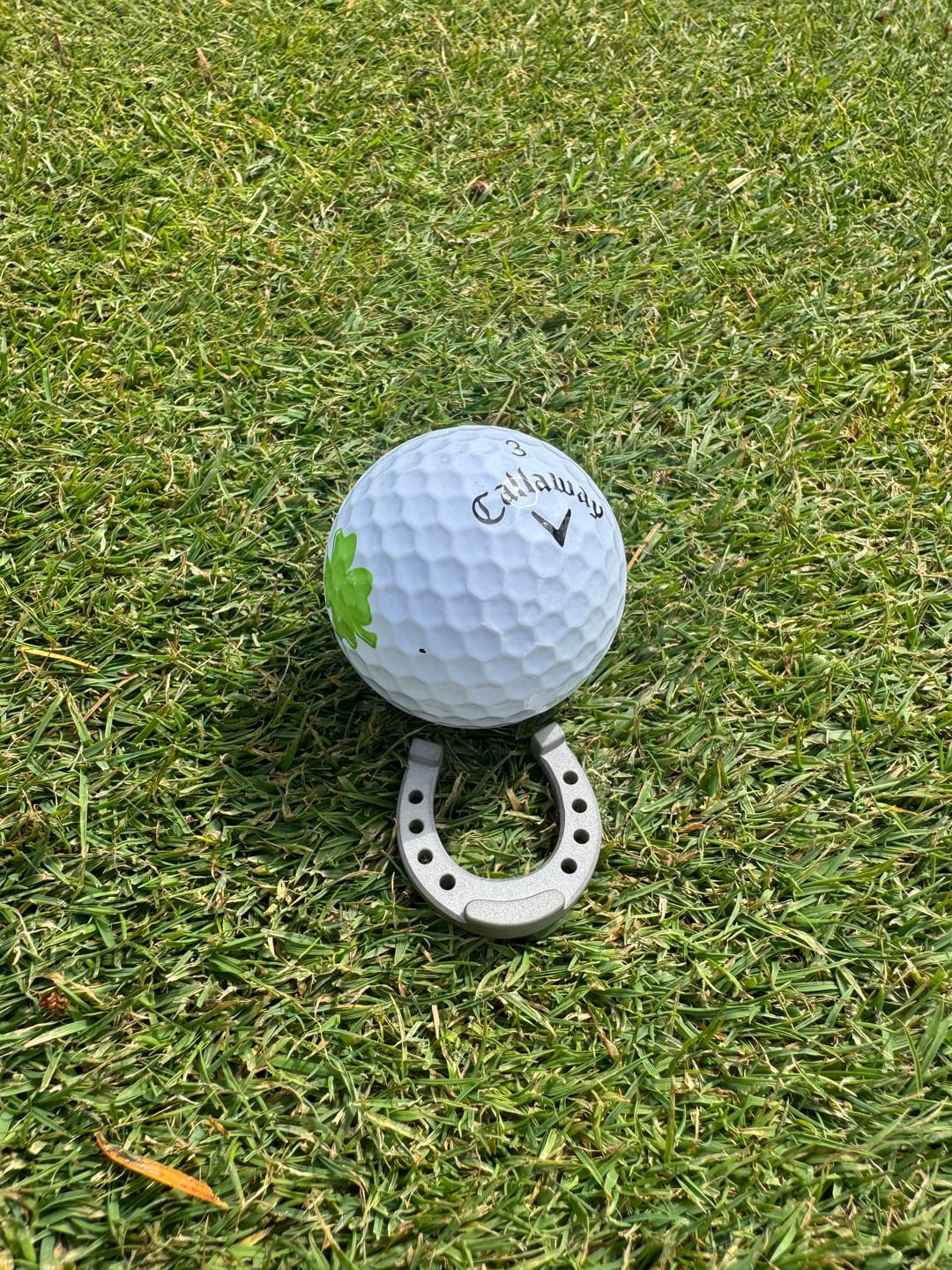 Customer photo review of PLAY BOLD LUCKY HORSESHOE MARKER - Stainless Steel