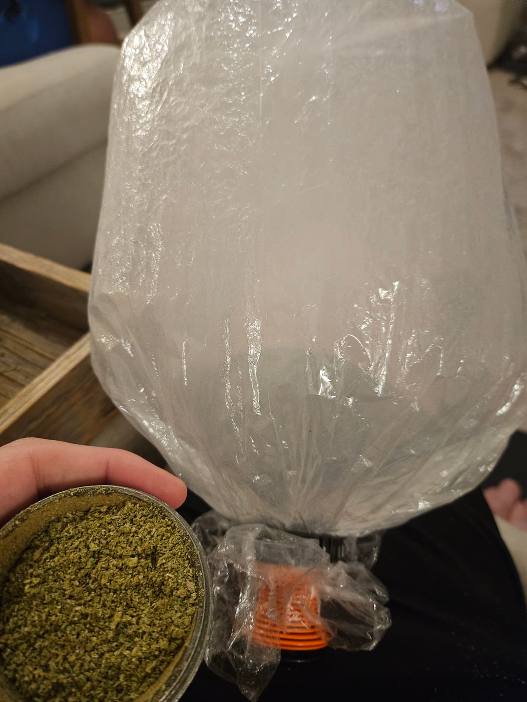 Customer photo review of Biscotti THCA Flower (Premium)