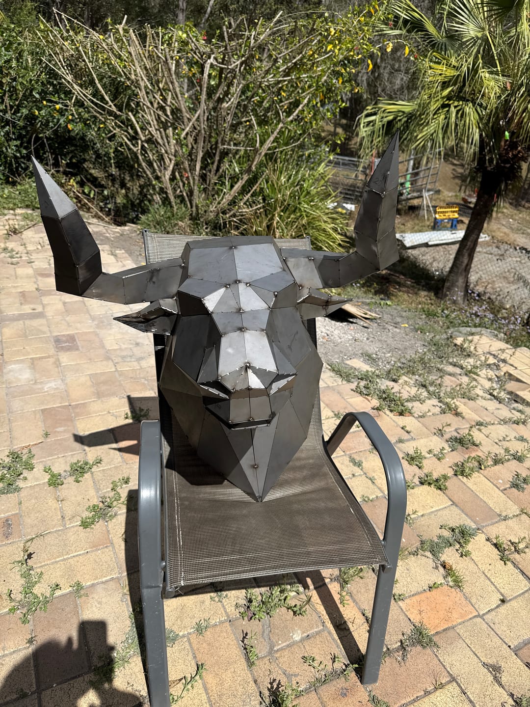 Customer photo review of Bull Head Kit