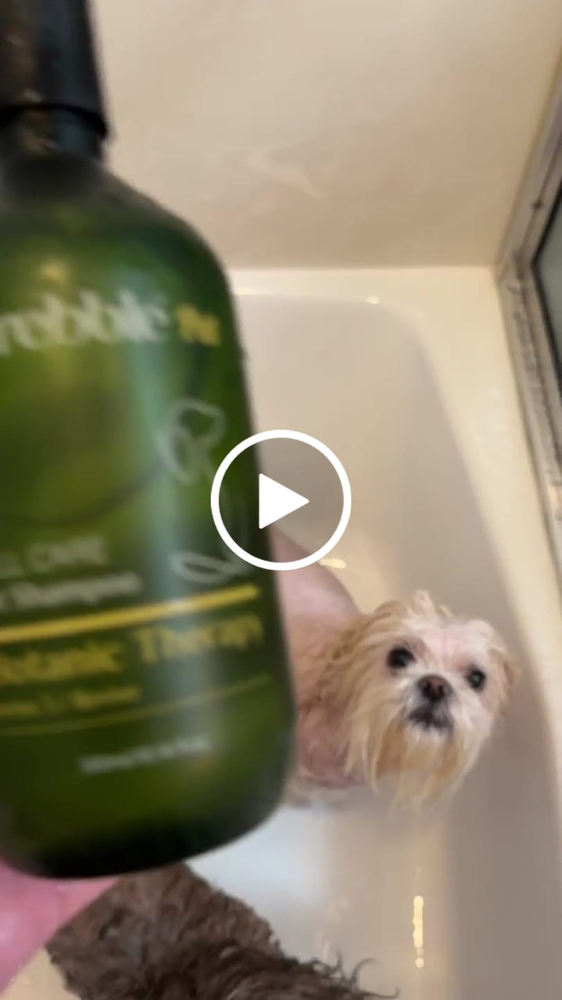 Customer video review of Revive Pet Botanic Therapy Shampoo