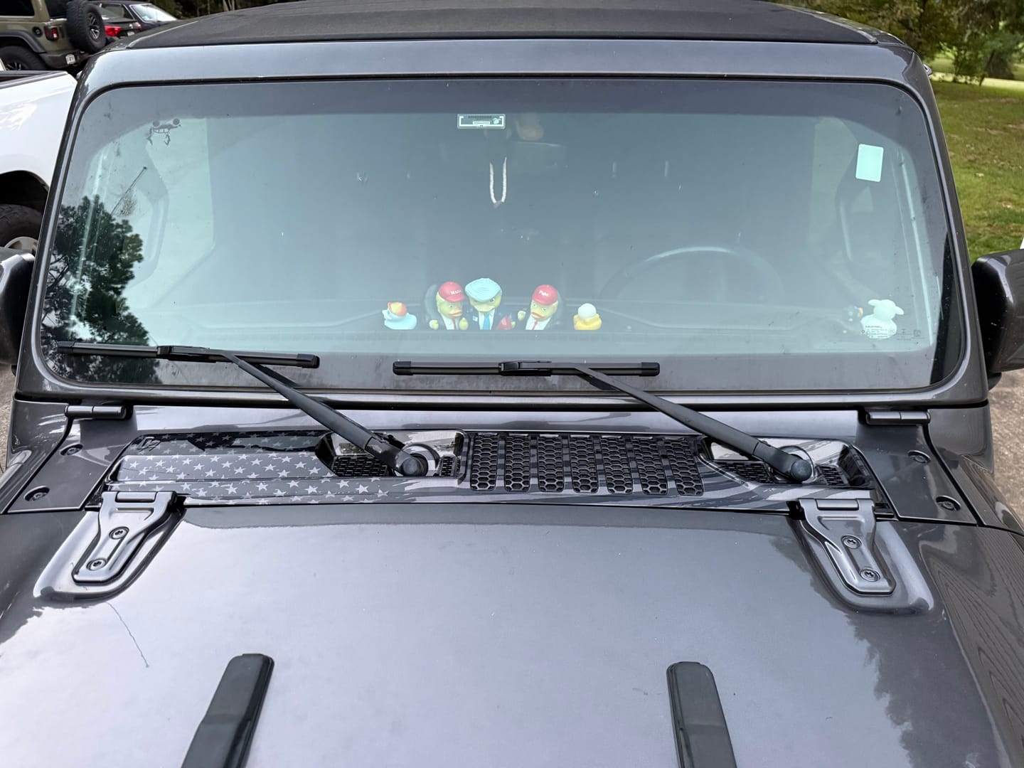 Customer photo review of Cowl Wiper Panel Hydrographic (Fits JL/JT 2018-2026)