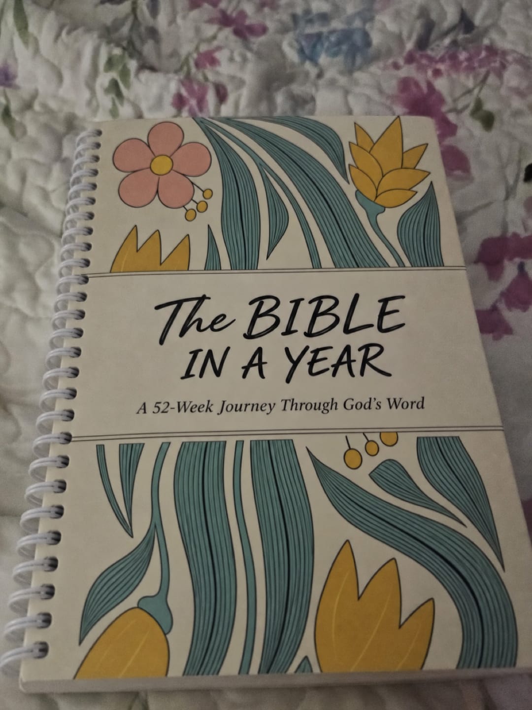 Customer photo review of The Daily Walk with Him: Bible in a Year