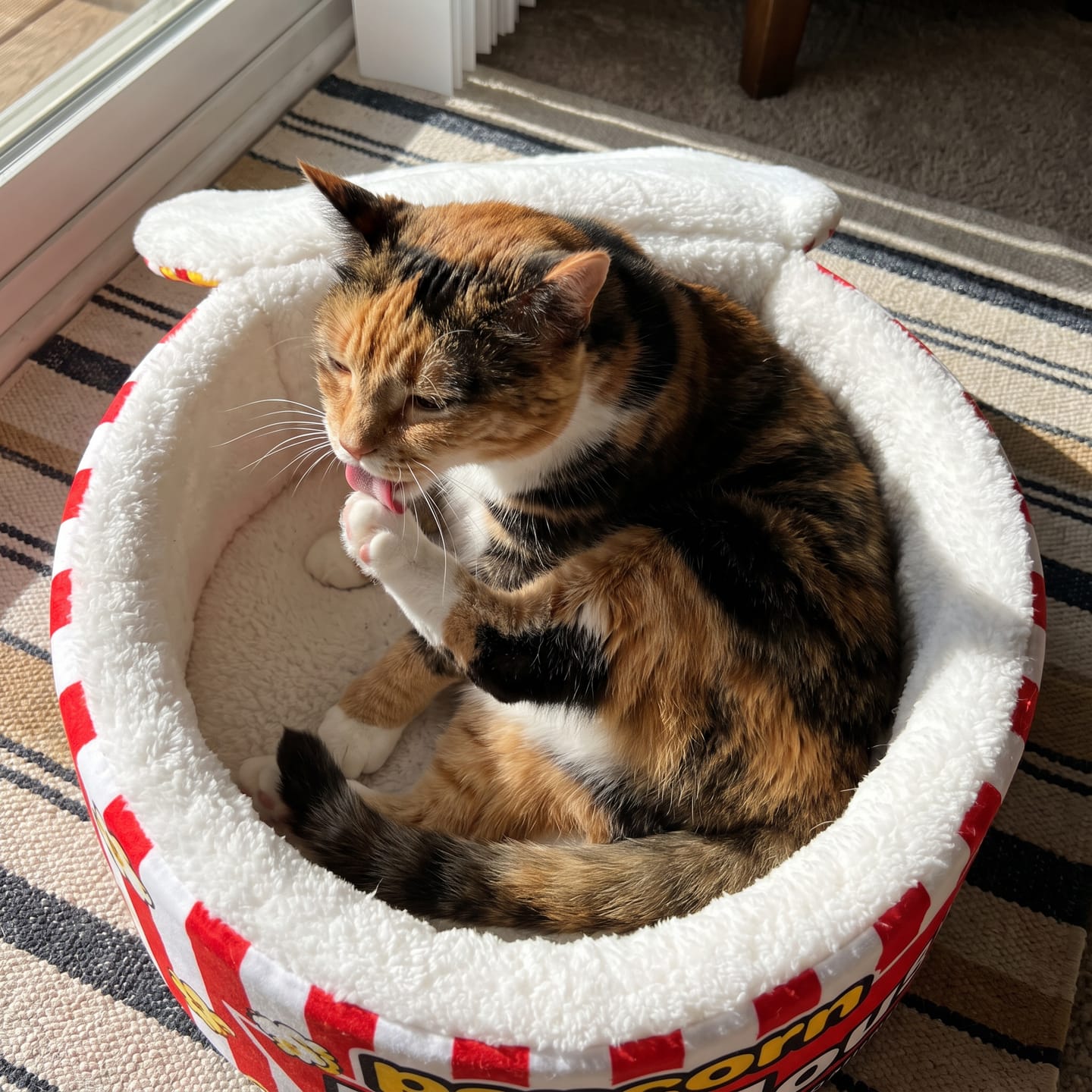 Customer photo review of Cama PopCorn para tu gato