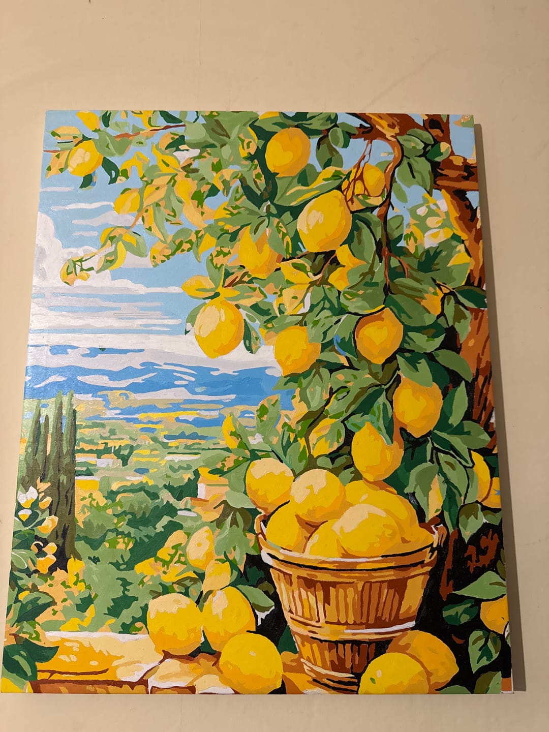 Customer photo review of Bounty Lemons