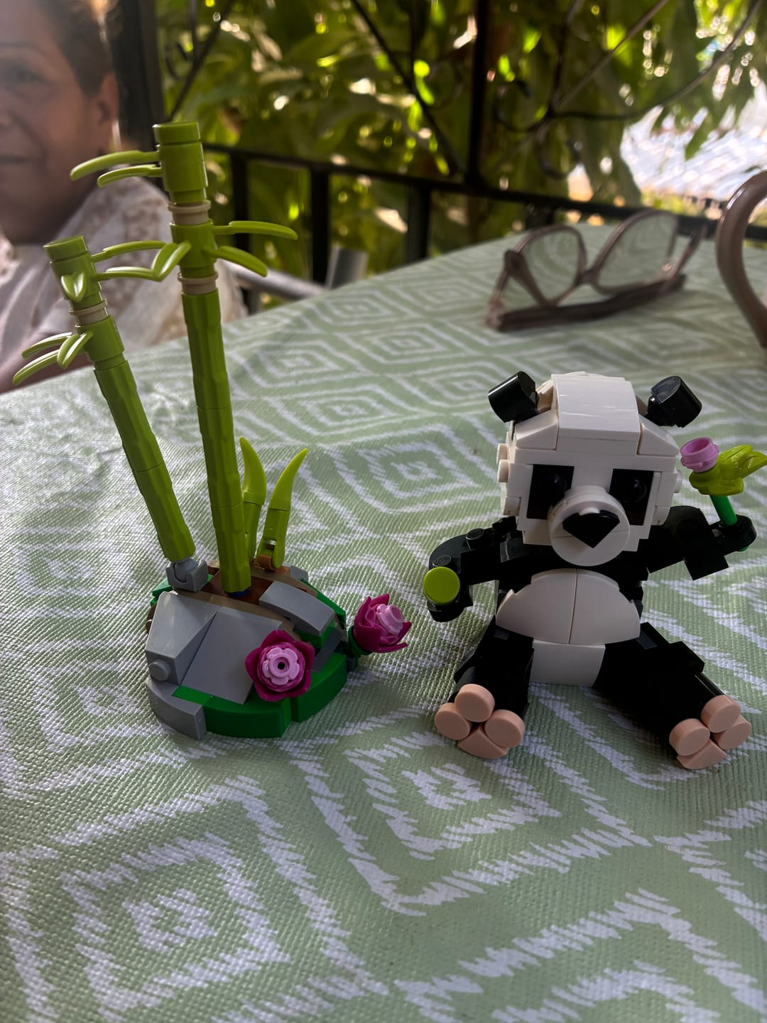 Customer photo review of FAUNA SALVAJE: FAMILIA DE PANDAS