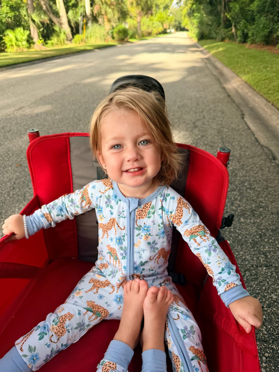 Customer photo review of Leopards Zippy