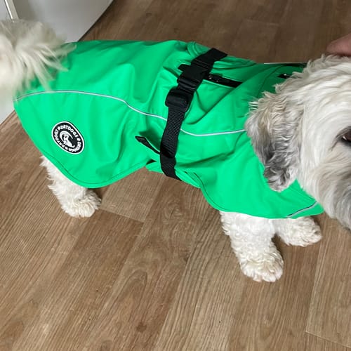 Customer photo review of Vimy & DryDogs Lightweight Waterproof Raincoat with Harness Hole Zip