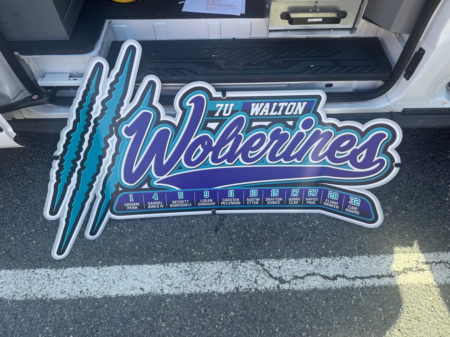 Customer photo review of Dugout Signs