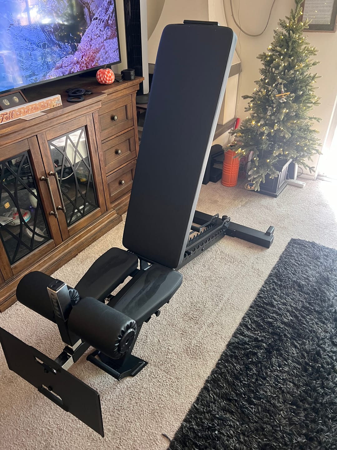 Customer photo review of APEX NORDIC MAX