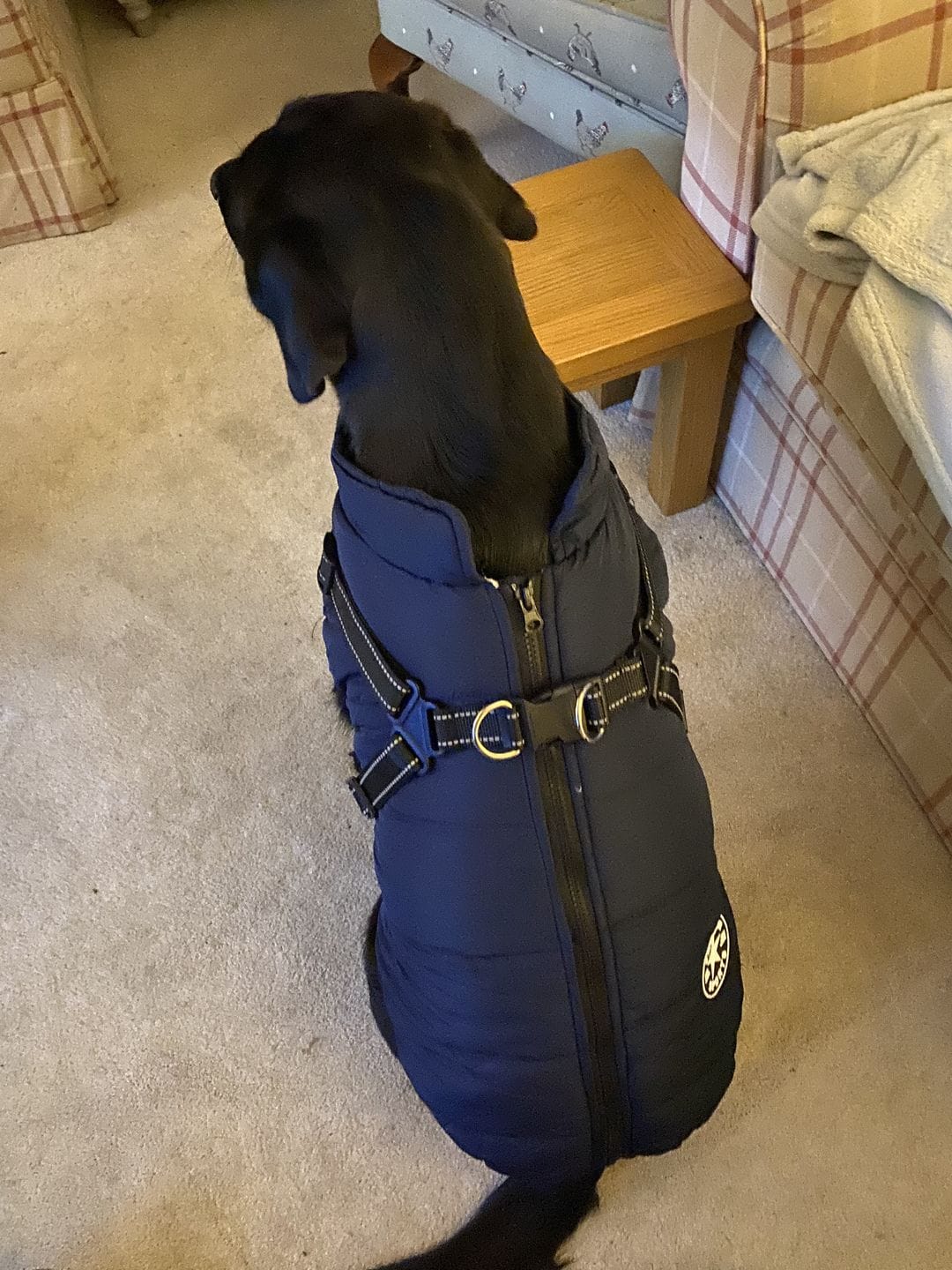 Customer photo review of Manteau 3-en-1 Vira™