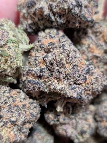 Customer's Runtz THCA Flower in a close-up, showing dense, purple-toned buds with visible orange hairs.