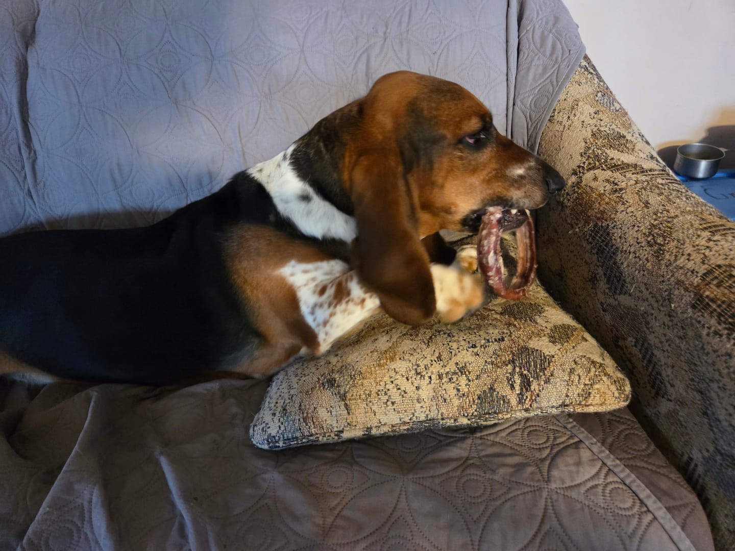Customer photo review of Large Bully Stick Ring