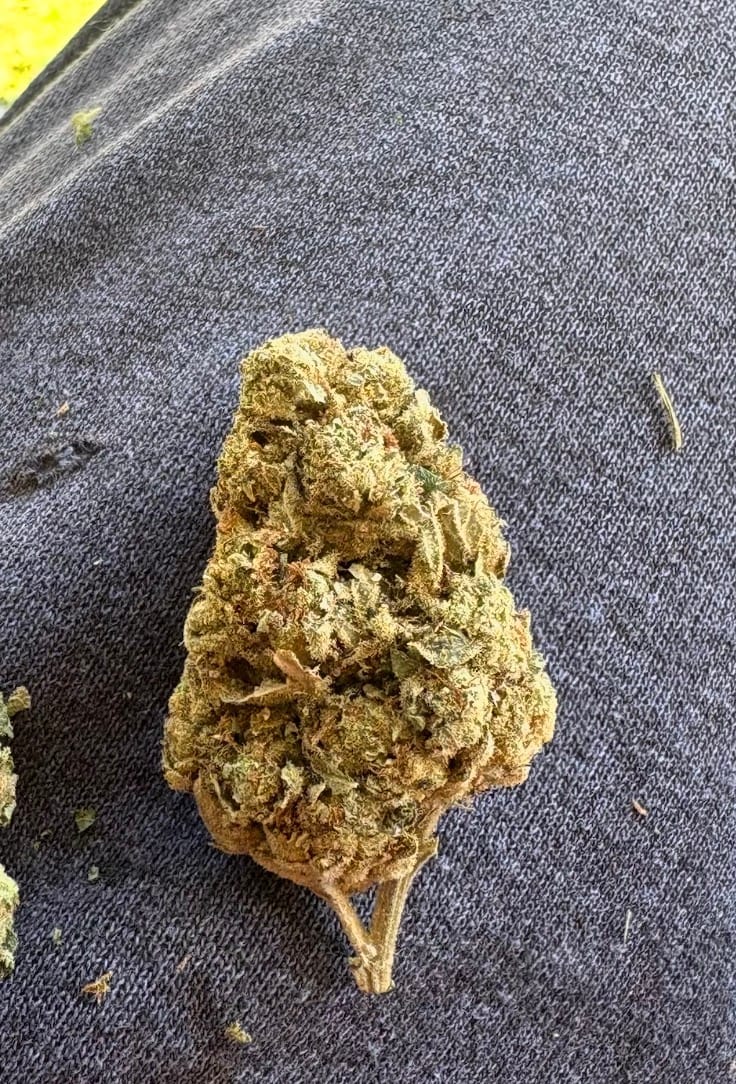Customer photo review of Maui Wowie - 28 Grams - Sativa