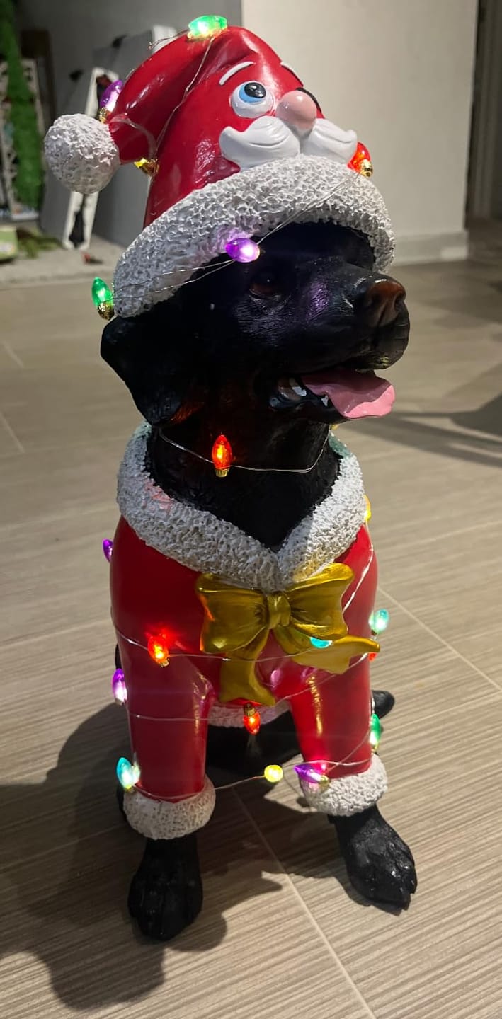 Customer photo review of Christmas Black Labrador Statue, Holiday Dog Figurine in Red Santa Outfit