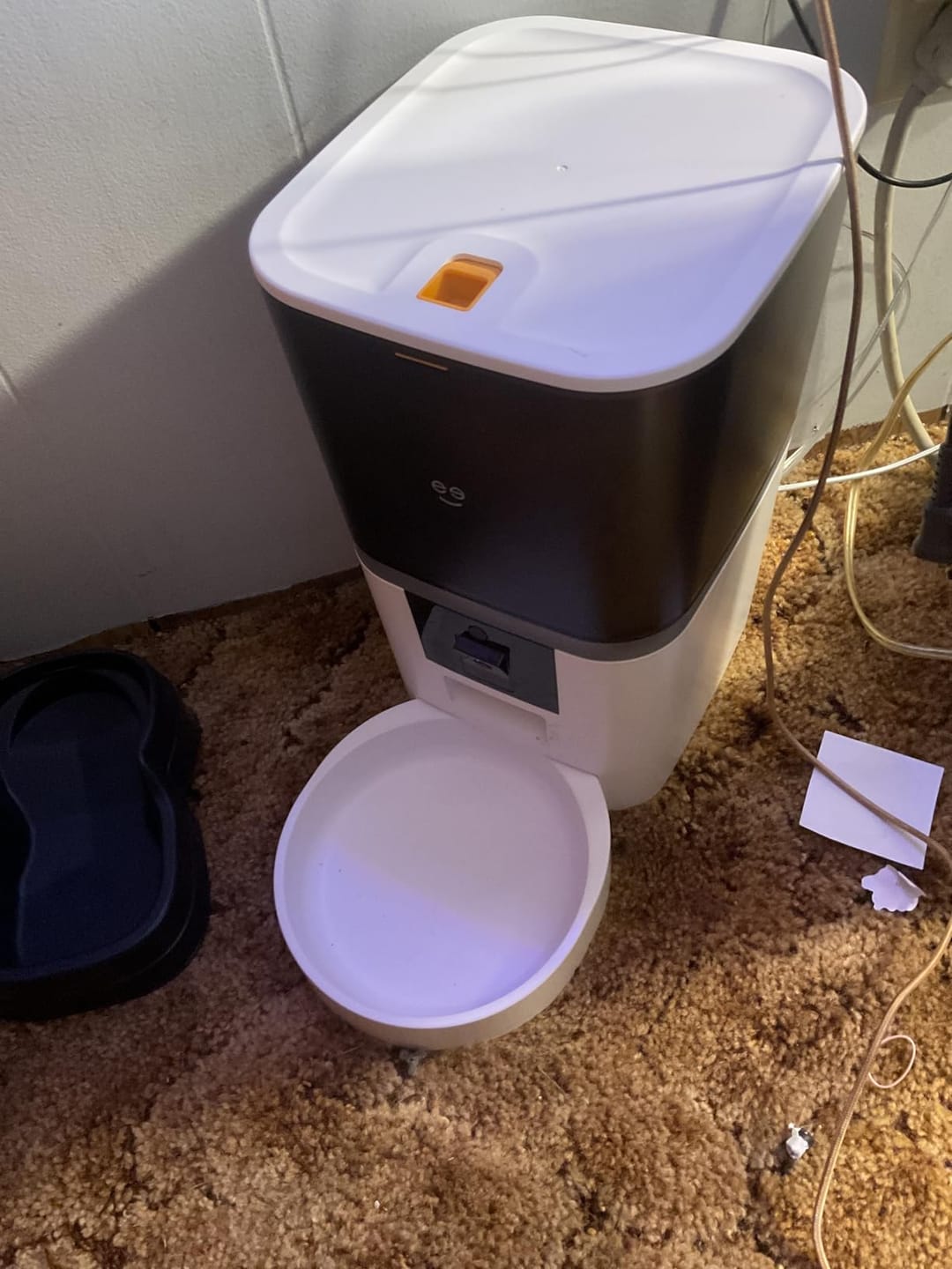 Customer photo review of PawCam - Automatic Pet Feeder with HD Camera