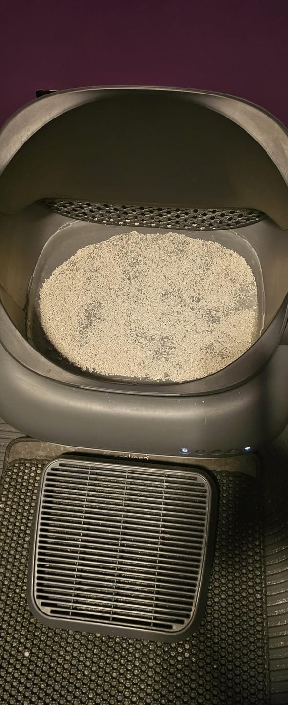 Customer photo review of Neakasa Pflanzliche Klumpstreu aus Tofu und Maniok – 2 × 2,7 kg